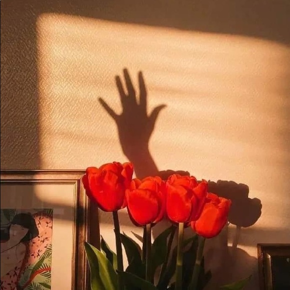 Meet your Posher, Chole - Picture 1 of 1